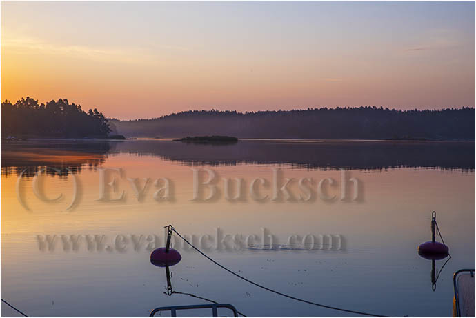 Sk&auml;rg&aring;rdsgryning - foto av Eva Bucksch